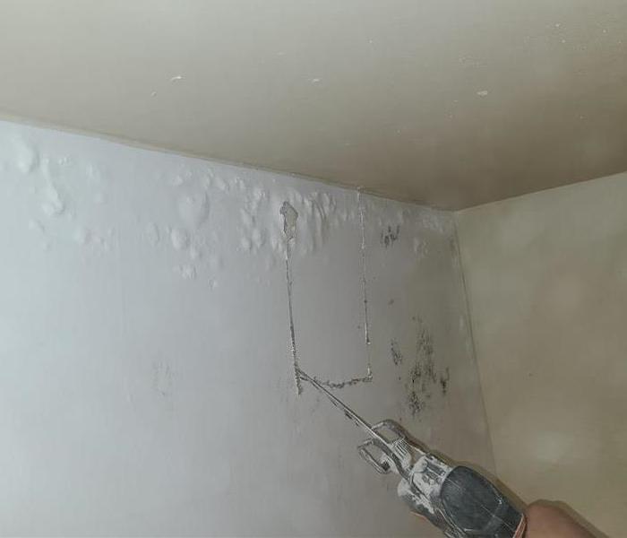 Picture is a wall with paint bubbled and mold developing as a result of water damage.
