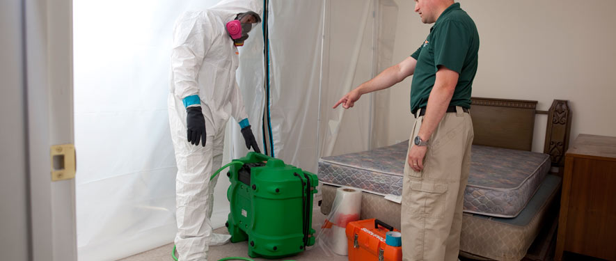 Westchester, FL mold removal process